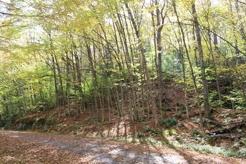 0 Timbercrest Rd #25, Stockbridge, VT 05772
