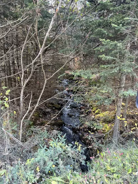 1217 Hudson Rd, Canaan, VT 05903 photo 39