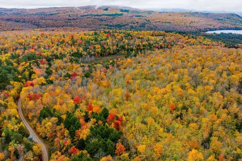 lot1 Bear Tree Rd, Orford, NH 03777