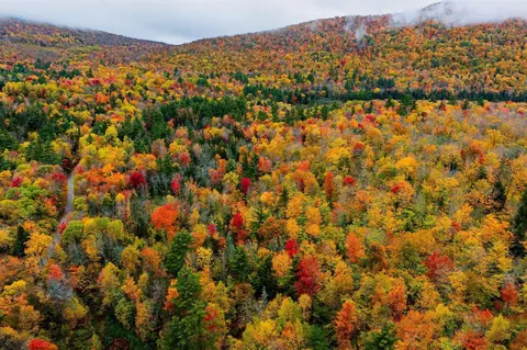 lot65 Piermont Heights Rd, Orford, NH 03777