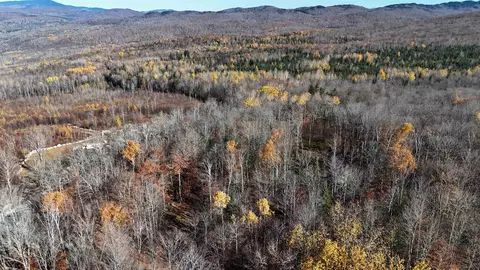 4 Tug Mountain Road, Lunenburg, VT 05906 photo 18