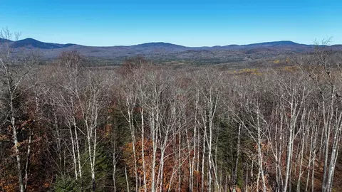 4 Tug Mountain Road, Lunenburg, VT 05906 photo 1