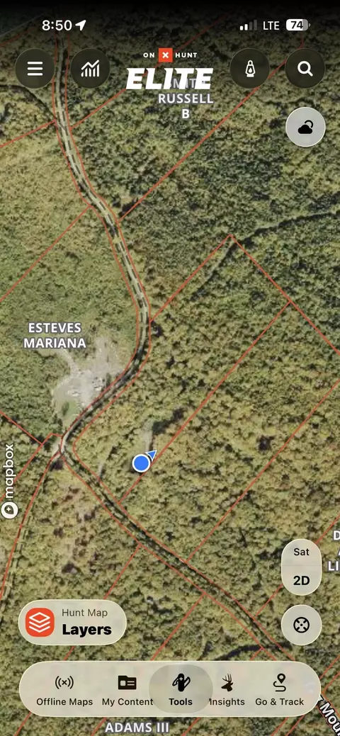 4 Tug Mountain Road, Lunenburg, VT 05906 photo 27