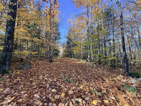 4 Tug Mountain Road, Lunenburg, VT 05906 photo 5