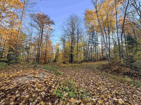4 Tug Mountain Road, Lunenburg, VT 05906 photo 7