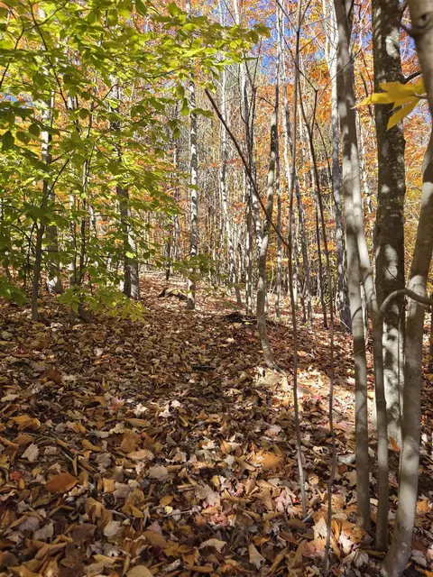 000 Valley Ln, Ashland, NH 03217
