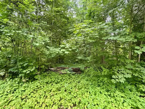00 Common St, Springfield, VT 05156 photo 11