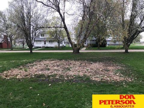 335 N 5th, Lyons, NE 68038 photo 30