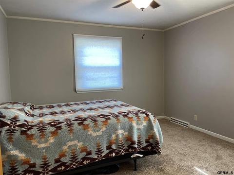 209 Madden Ave, De Witt, NE 68341 photo 29