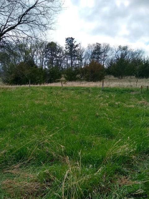 1595 T County Rd, Lyons, NE 68038 photo 4