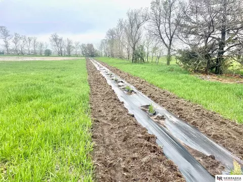 Hwy 281 & 873rd Road, O' Neill, NE 68763