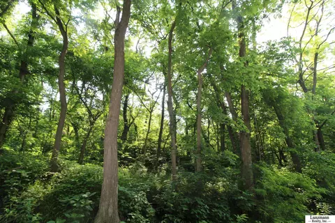 64800 Bluff Rd, Brownville, NE 68321