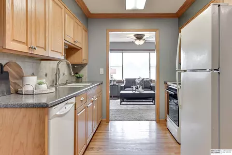 8308 Park Dr, Ralston, NE 68127 photo 16