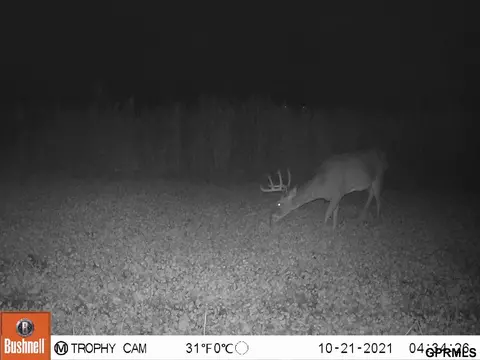 539 Hwy 78 Hwy, Guide Rock, NE 68942 photo 25