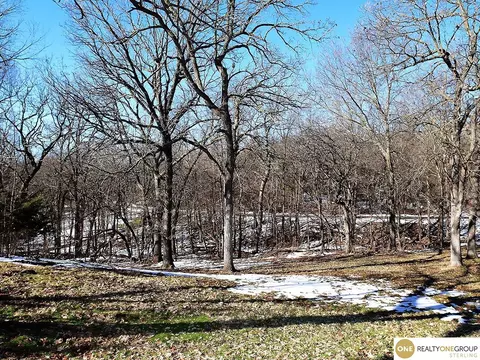 16007 Meadow Ridge Dr, Springfield, NE 68059 photo 41