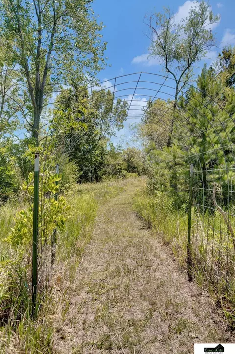 6100 Roca Rd, Roca, NE 68430 photo 84