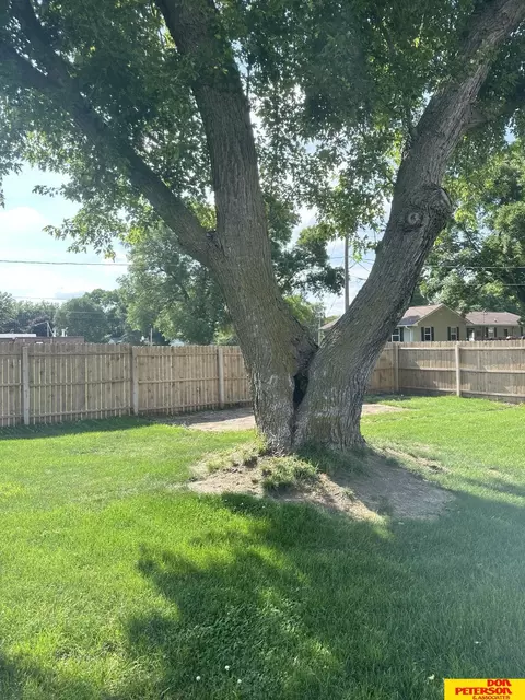 625 Everett St, Lyons, NE 68038 photo 22