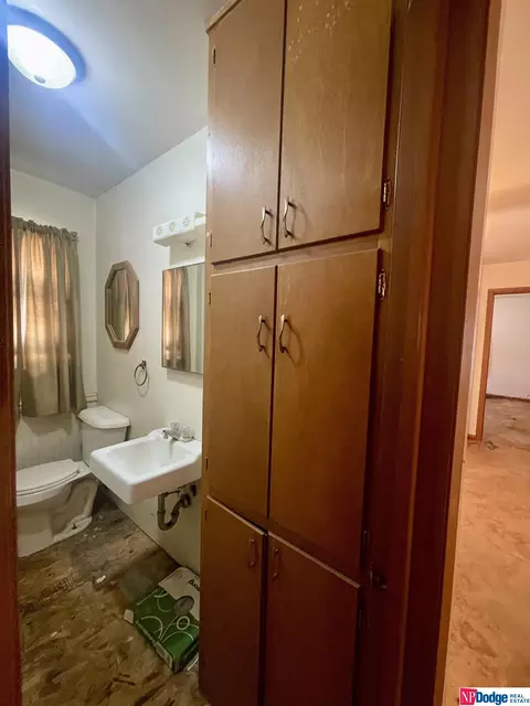 305 Pine St, Snyder, NE 68664 photo 23