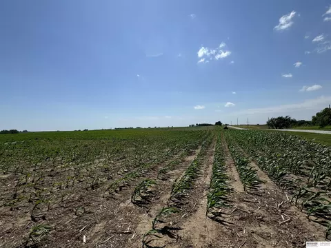 1205 Highway 51, Lyons, NE 68038 photo 12
