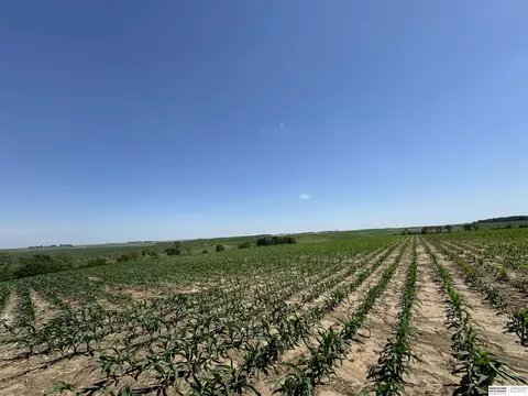 1205 Highway 51, Lyons, NE 68038 photo 54