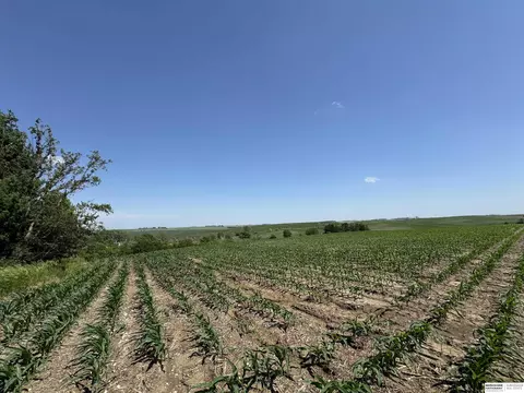 1205 Highway 51, Lyons, NE 68038 photo 55