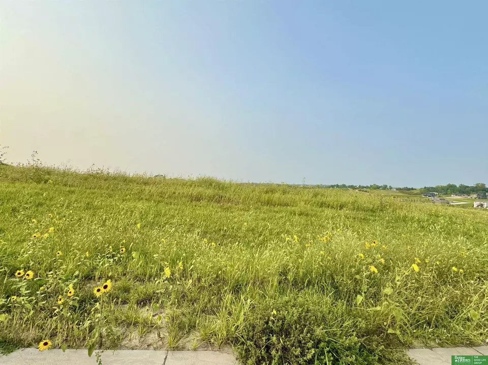  tbd Lot 42 St, Gretna, NE 68028 photo 4