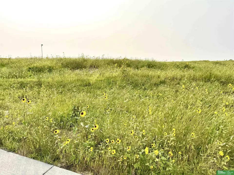  tbd Lot 42 St, Gretna, NE 68028 photo 12