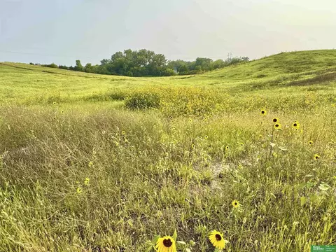 22611 Copper Ridge Rd, Gretna, NE 68028