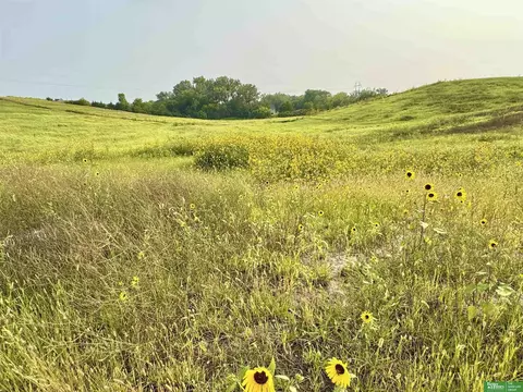 22611 Copper Ridge Rd, Gretna, NE 68028