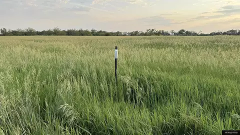 4955 County Road 33, Blair, NE 68008