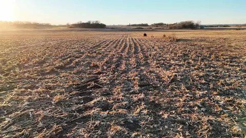0000 856th Rd, Pierce, NE 68767 photo 5
