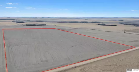 234 75 Acres - 11th Rd Hwy 16, Pender, NE 68047 photo 10
