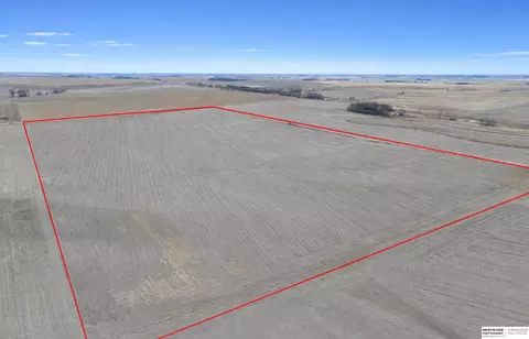 234 75 Acres - 11th Rd Hwy 16, Pender, NE 68047 photo 12