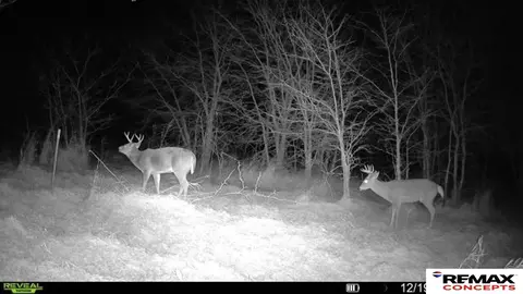 tbd 6929 Acres, Pickrell, NE 68422 photo 43