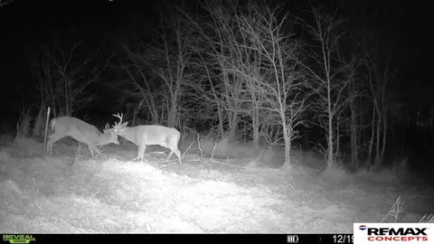 tbd 6929 Acres, Pickrell, NE 68422 photo 42
