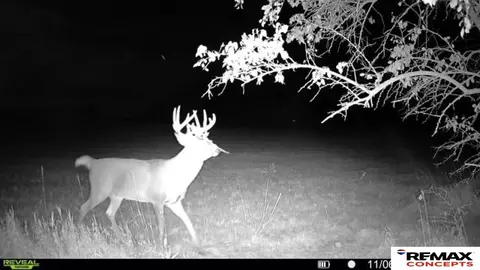 tbd 6929 Acres, Pickrell, NE 68422 photo 39