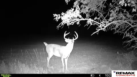 tbd 6929 Acres, Pickrell, NE 68422 photo 38