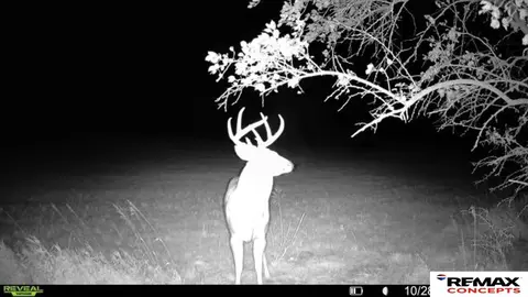 tbd 6929 Acres, Pickrell, NE 68422 photo 40