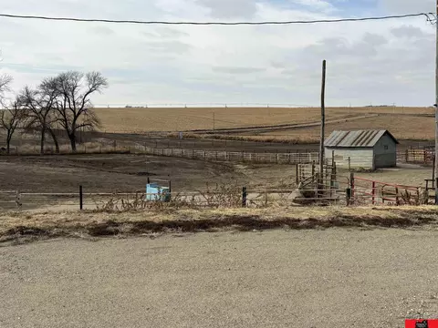 Exterior - 1245 M Ave, Pender, NE 68047 photo 11 of 23