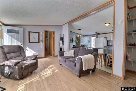 Living - 509 E Circle Dr, Hooper, NE 68031 photo 3 of 3