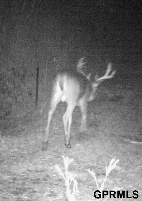 000 105 St, Mapleton, IA 51034 photo 82