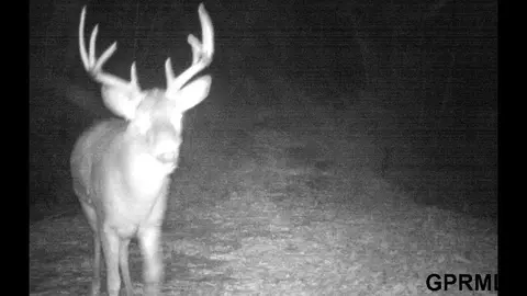 000 105 St, Mapleton, IA 51034 photo 78