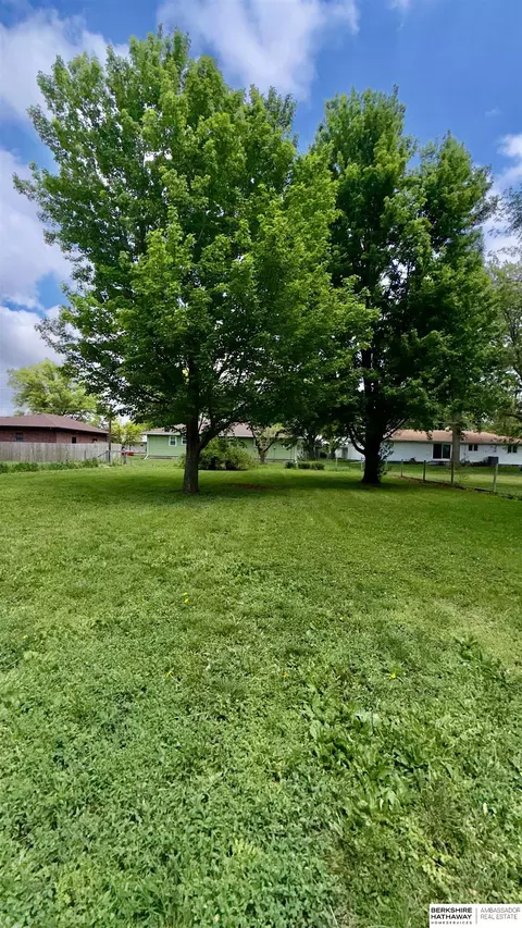 Exterior - 406 9 St, Scribner, NE 68057 photo 14 of 22