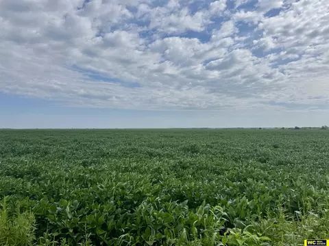 75 Acres County Road K, Tekamah, NE 68061