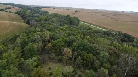 000 105 St, Mapleton, IA 51034 photo 27