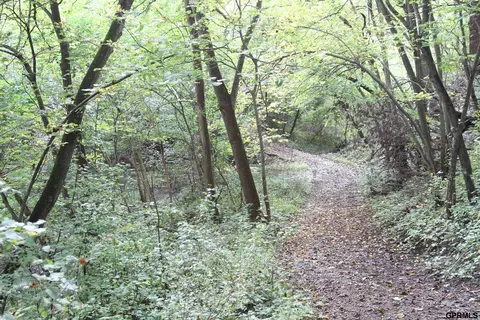 000 105 St, Mapleton, IA 51034 photo 60