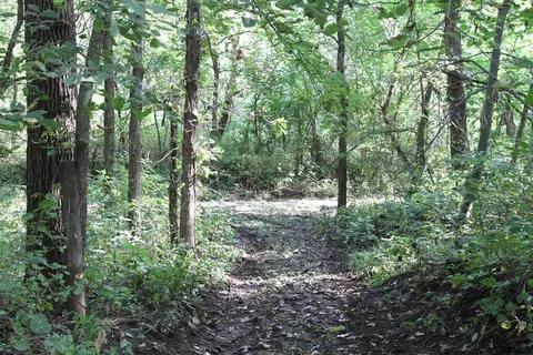 000 105 St, Mapleton, IA 51034 photo 65