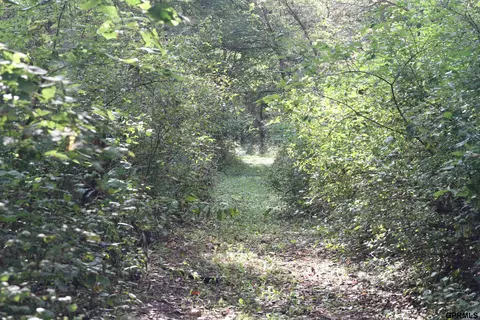 000 105 St, Mapleton, IA 51034 photo 63