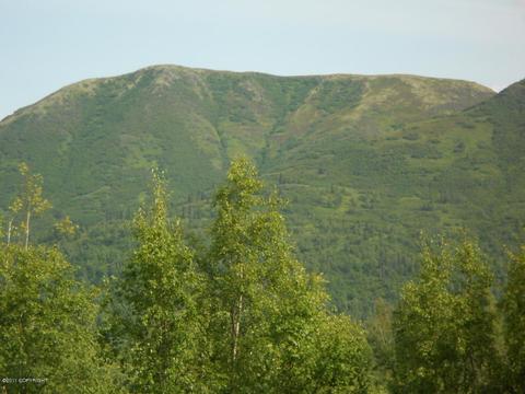 15631 Chris Ct, Eagle River, AK 99577 photo 3