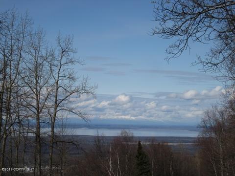 11229 Steeple Dr, Eagle River, AK 99577 photo 3